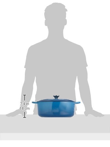 Enameled Cast Iron Oval Dutch Oven
