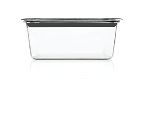 Brilliance Large Food Storage Container (9.6 cup)