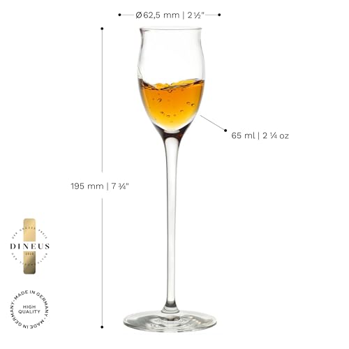 Liqueur Glasses Quatrophil Set of 6