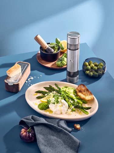 Electric pepper and salt mill double imill duo ceramic