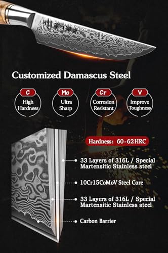 6PCS Kitchen Knife Set Professional Forged Damascus High Carbon Steel Steak Knife Figured Sycamore Wood Handle (6 Count)