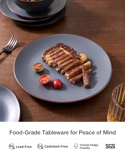 Venus Stoneware Dinnerware Sets with Pasta Bowls (Charcoal / Serves 4 (16pc w/ Pasta Bowl))