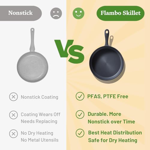 Skillet #10 Naturally Non