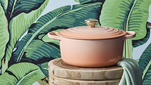 Enameled Cast Iron Round Dutch Oven