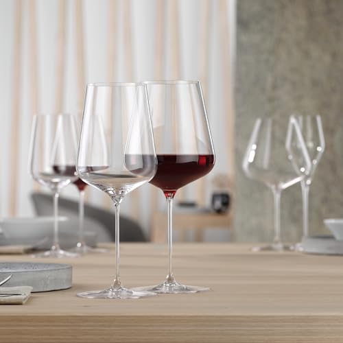 Definition Burgundy Wine Glasses Set of 2 (2 Count)