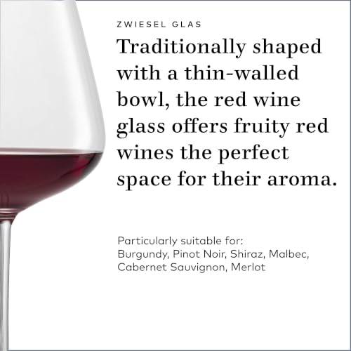 ZWIESEL GLAS Vervino Burgundy Red Wine Glass (6 Count)