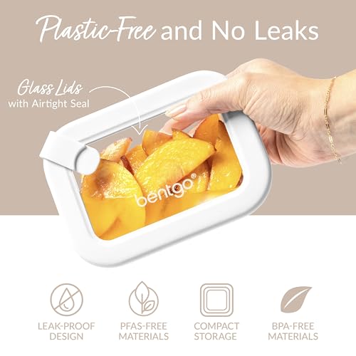 Signature Glass Food Storage Containers with Lids (8-Piece Set (White Stone))