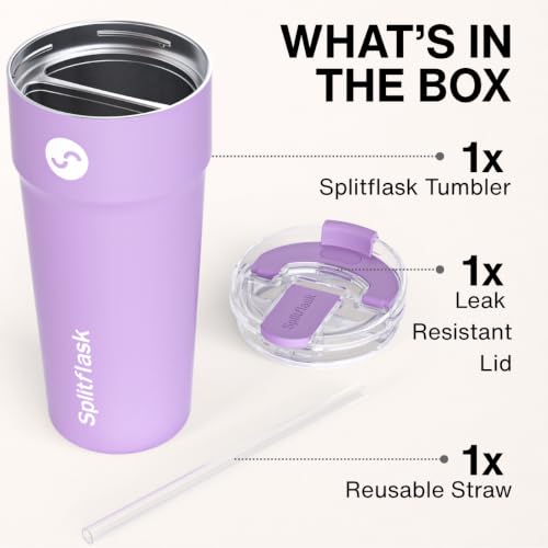 Stainless Steel Insulated Tumbler Cup with Straw & Sip Lid (Louie Lilac)