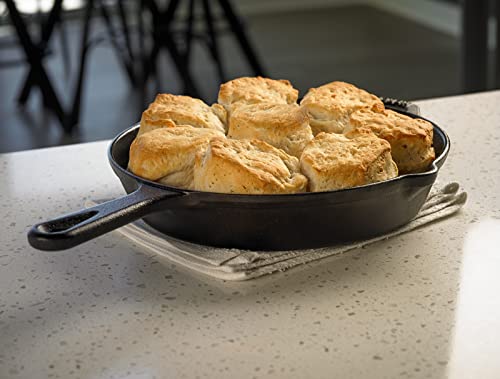 Pre Seasoned Cast Iron Skillet (10.25-Inch (1-Pack) / Black)