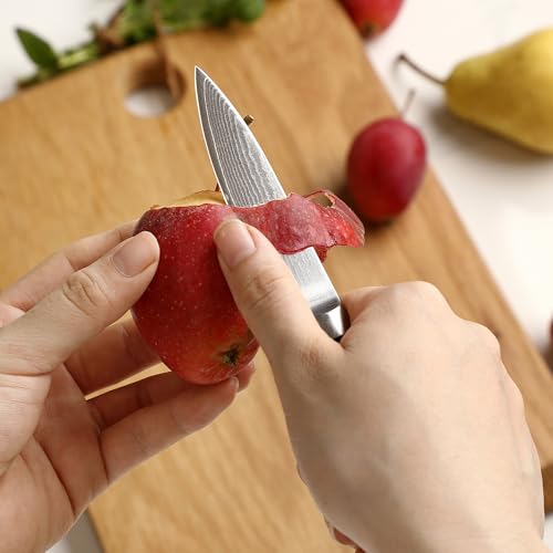 EDIB Acacia Knife Block Set (4 Count)