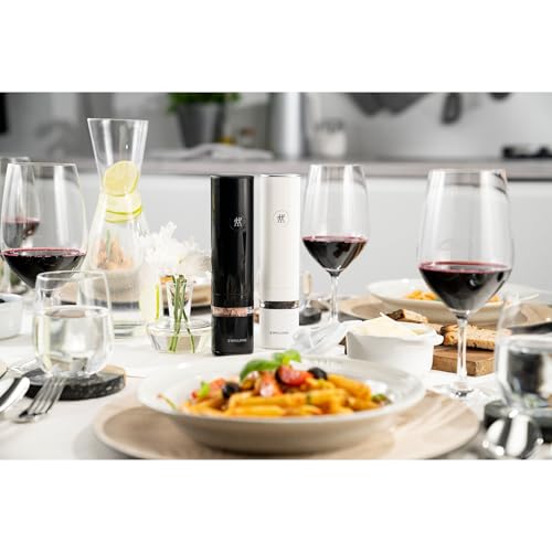 Enfinigy 2 Pc Electric Salt (2-pc / White/Black)