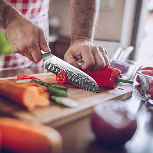 7 In Damascus Chef Knife