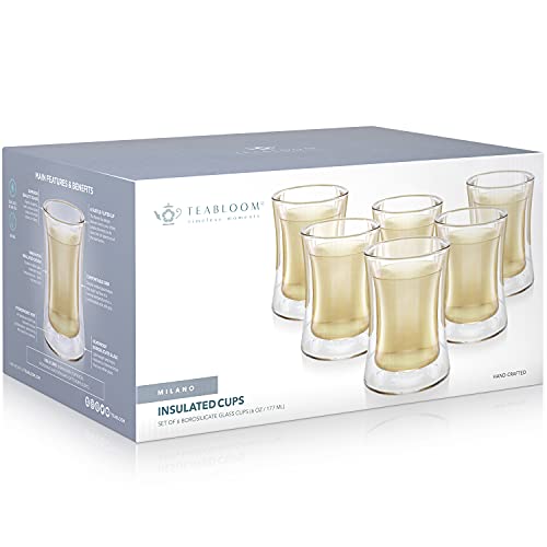 Modern Insulated Turkish Tea Glasses