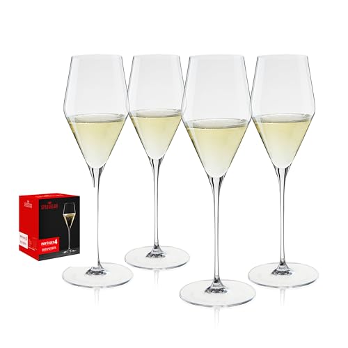 Definition Champagne Flutes (8.8 Count)
