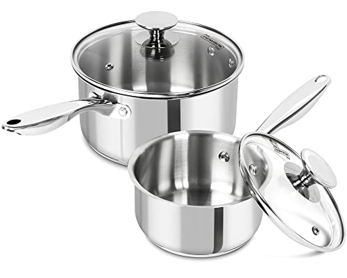 Stainless Steel Saucepan Set (2 Count)