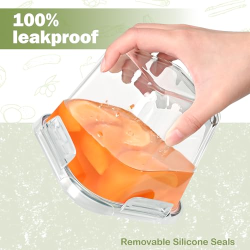 Borosilicate Glass Soup Containers with Lids (Transparent6)