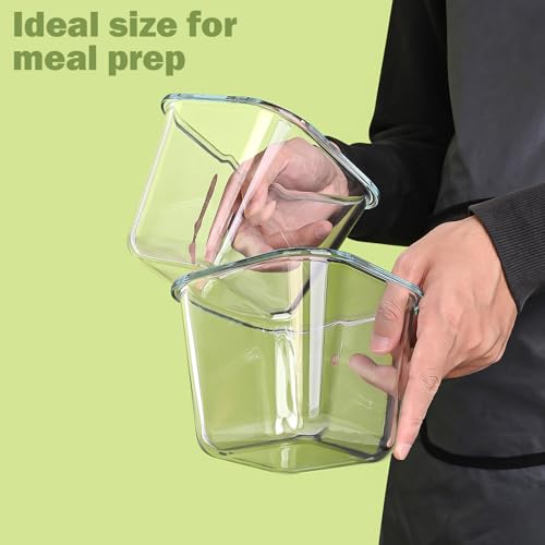 Borosilicate Glass Soup Containers with Lids (Transparent4)