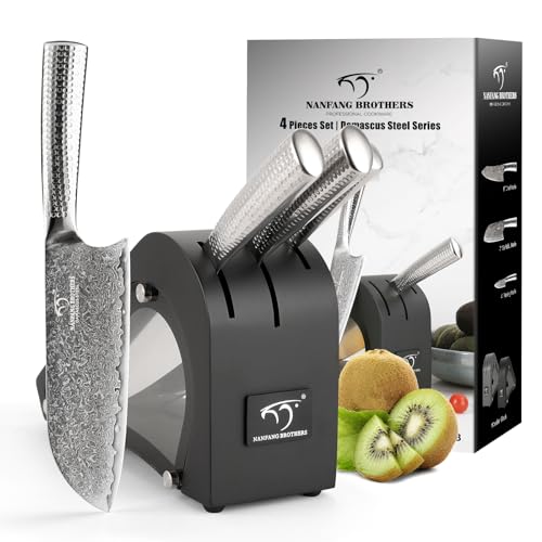 Damascus Kitchen Knife Set with Block (4 Count)