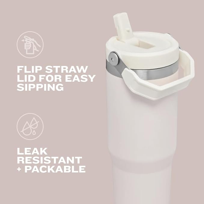 STANLEY IceFlow 2.0 Flip Straw Tumbler with Handle 20 oz | Twist On Lid and Flip Up Straw | Leak Resistant Water Bottle | Insulated Stainless Steel | BPA-Free | Frost