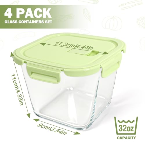 Borosilicate Glass Soup Containers with Lids (Multicolor)