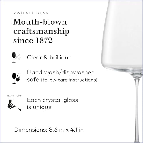Simplify Burgundy Red Wine Glass