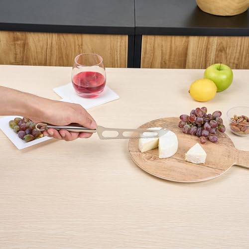 Stainless Steel Cheese Knife (Knife/Server / 10 3/4" -6 Count)
