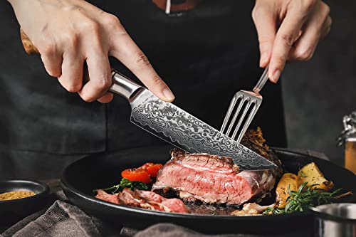 6PCS Kitchen Knife Set Professional Forged Damascus High Carbon Steel Steak Knife Figured Sycamore Wood Handle (6 Count)