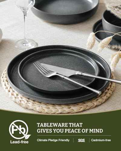 Milkyway 16 Piece Stoneware Dinnerware Set (Matte Dark Charcoal / Service for 4 (Include Pasta Bowls))