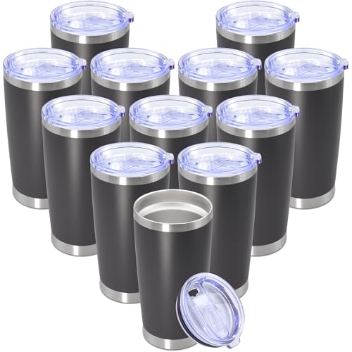 20 oz Tumbler Insulated Tumblers Stainless Steel Coffee Mug (Gray)