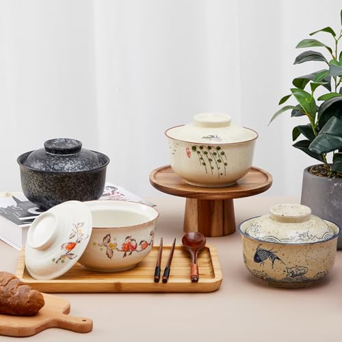 25oz Ramen Bowls Set of 4 Japanese Dinnerware Set with Lid (Mixed)
