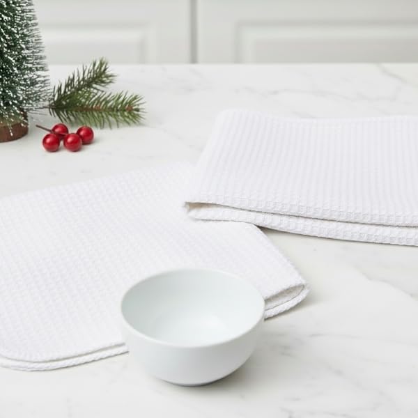 Dish Cloths and Dish Rags