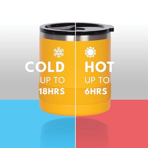 Recess Lowball 10oz Stainless Steel Tumbler Whiskey Glass w (10 Ounces / Citrus Yellow)