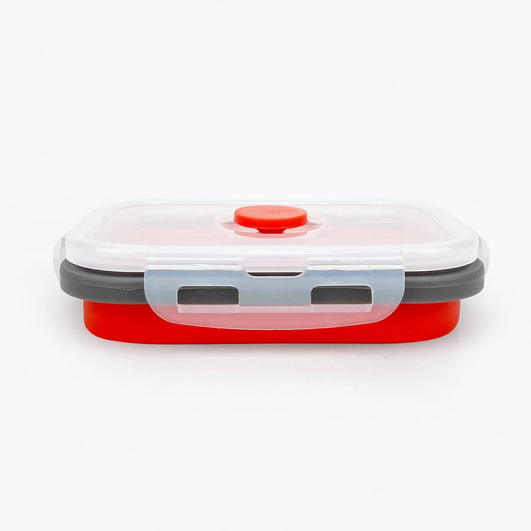 3piece Collapsible Food Storage Containers with Lids (3 Count)
