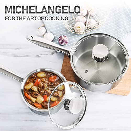 Stainless Steel Saucepan Set 1Qt & 2Qt