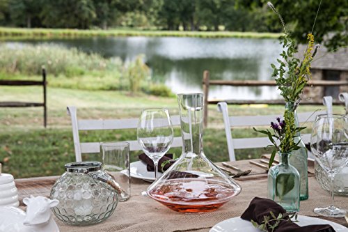 ZWIESEL GLAS Pure Red Wine Decanter