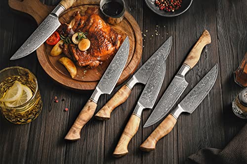 6PCS Kitchen Knife Set Professional Forged Damascus High Carbon Steel Steak Knife Figured Sycamore Wood Handle (6 Count)