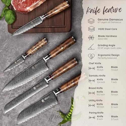 5 Piece Damascus Kitchen Knife Set with Magnetic Block (5 Count)