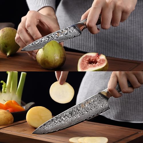 Noir Blanc VG10 Damascus Knife Block Set