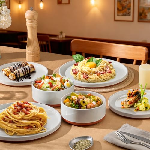 Stoneware Dinnerware Set Service for 6
