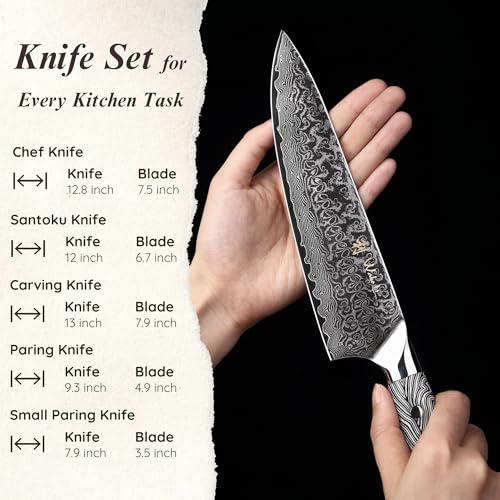 Noir Blanc VG10 Damascus Knife Block Set