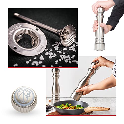Paris Chef Salt Mill (12 inches)