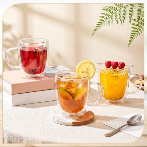 Glass Coffee Mugs Set of 4 (480ml / Clear)