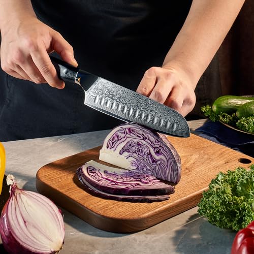 SENKEN 6 Piece Damascus Steel Kitchen Knife Set (6 Count)
