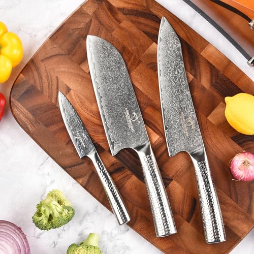Damascus Kitchen Knife Set with Block (4 Count)