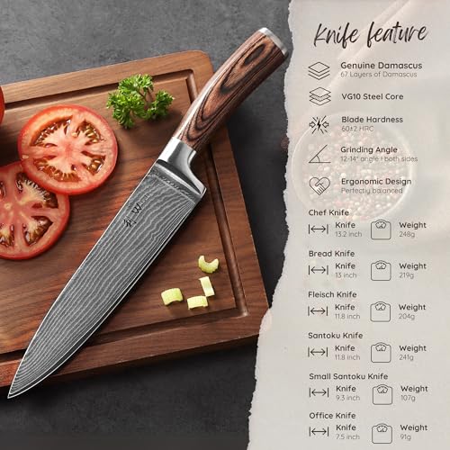 EDIB 6 Pcs Damascus Kitchen Knife Set with Magnetic Block
