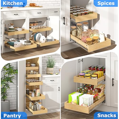 2 Tier Pull Out Cabinet Organizer with Soft Close Slides (26''W x22''D / 2 Tiers)