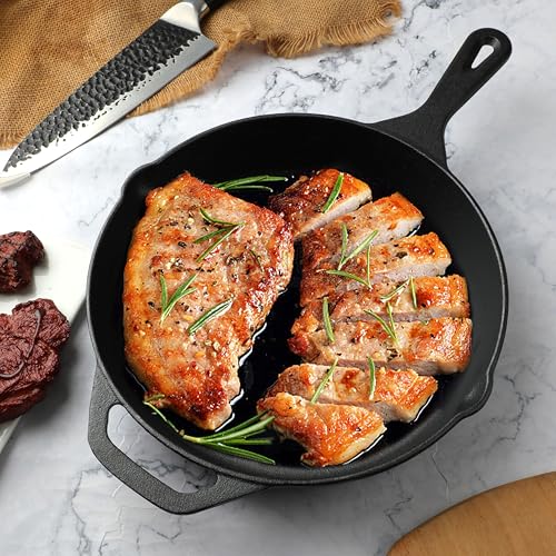 10 Inch Cast Iron Skillet (10 Inch Cast Iron Skillet)