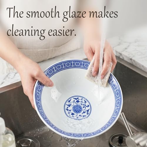 27.1 OZ Ceramic Soup Bowl Set of 2 (White / 9.1)