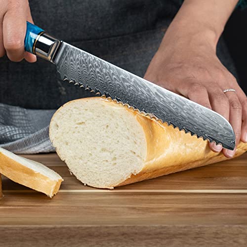 SENKEN 7 Piece Damascus Kitchen Knife Set (7 Count)