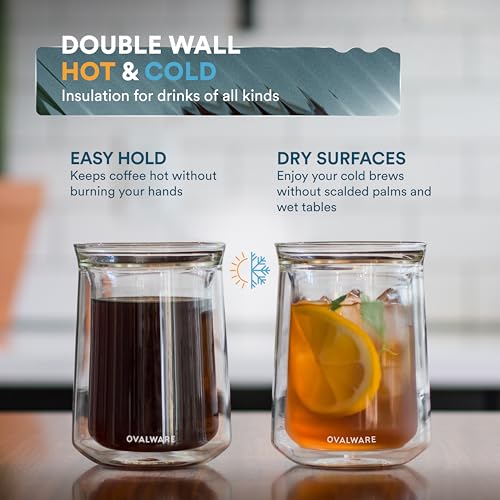 Double Wall Single Lip Insulated Glass Cup (12 Fluid Ounces (Set of 4))